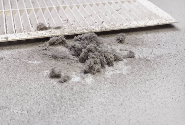 Best Professional Duct Cleaning Services  in Start, LA